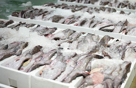 鮮度を確認できる状態に並べる