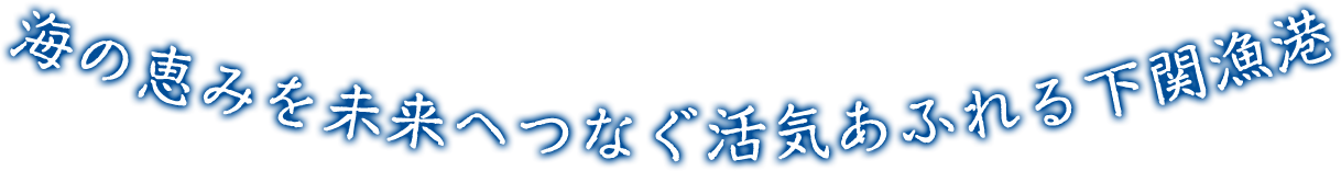 海の恵みを未来へつなぐ活気あふれる下関漁港